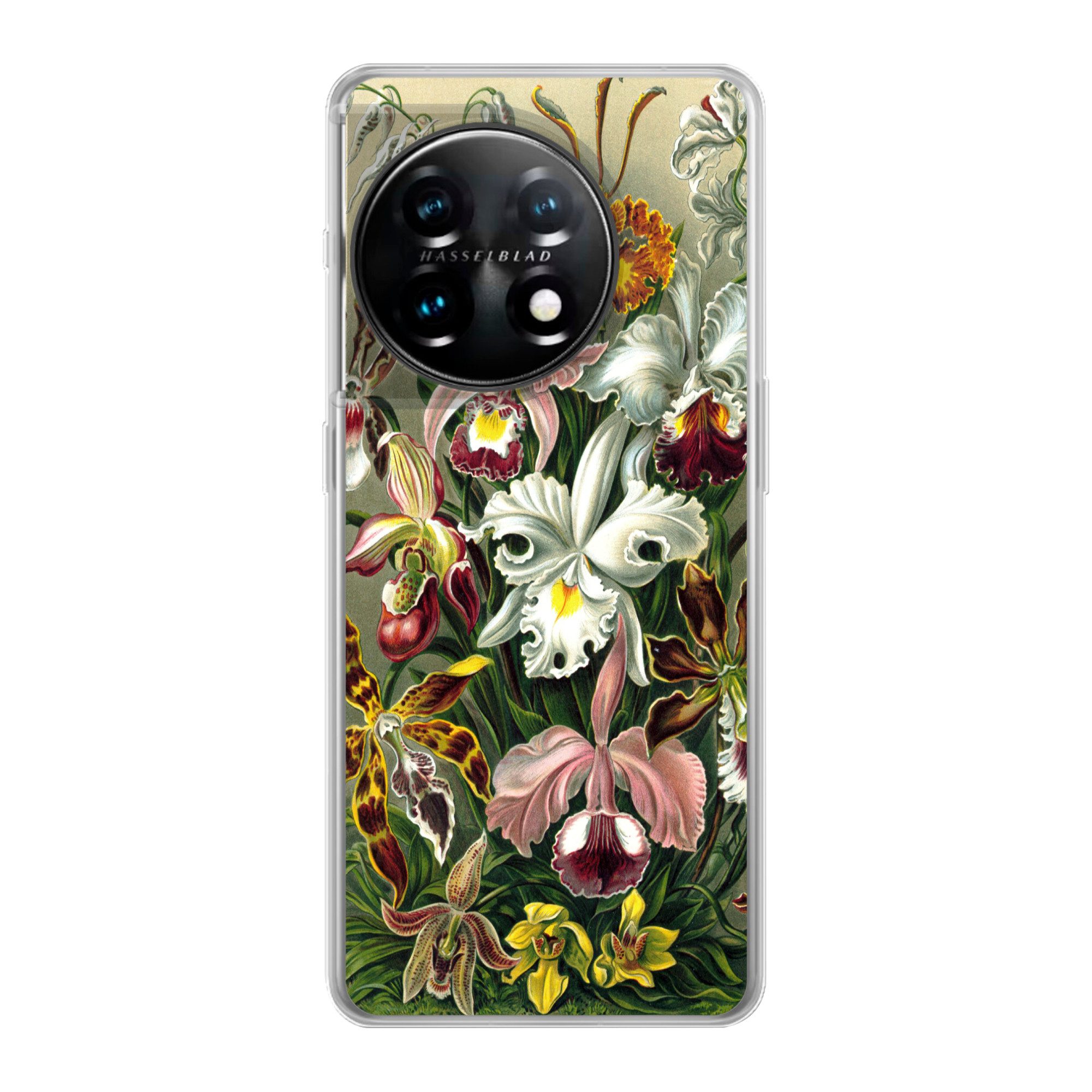 MuchoWow Handyhülle für OnePlus 11 Orchidee