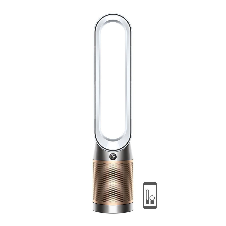 DYSON Luftreiniger Dyson Purifier Cool Formaldehyde