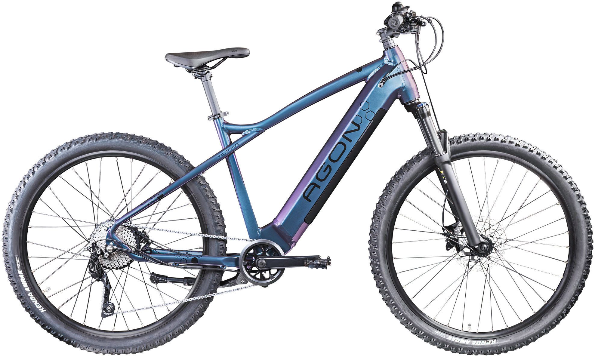 AGON E-Bike Mountainbike Alpha, 10 Gang