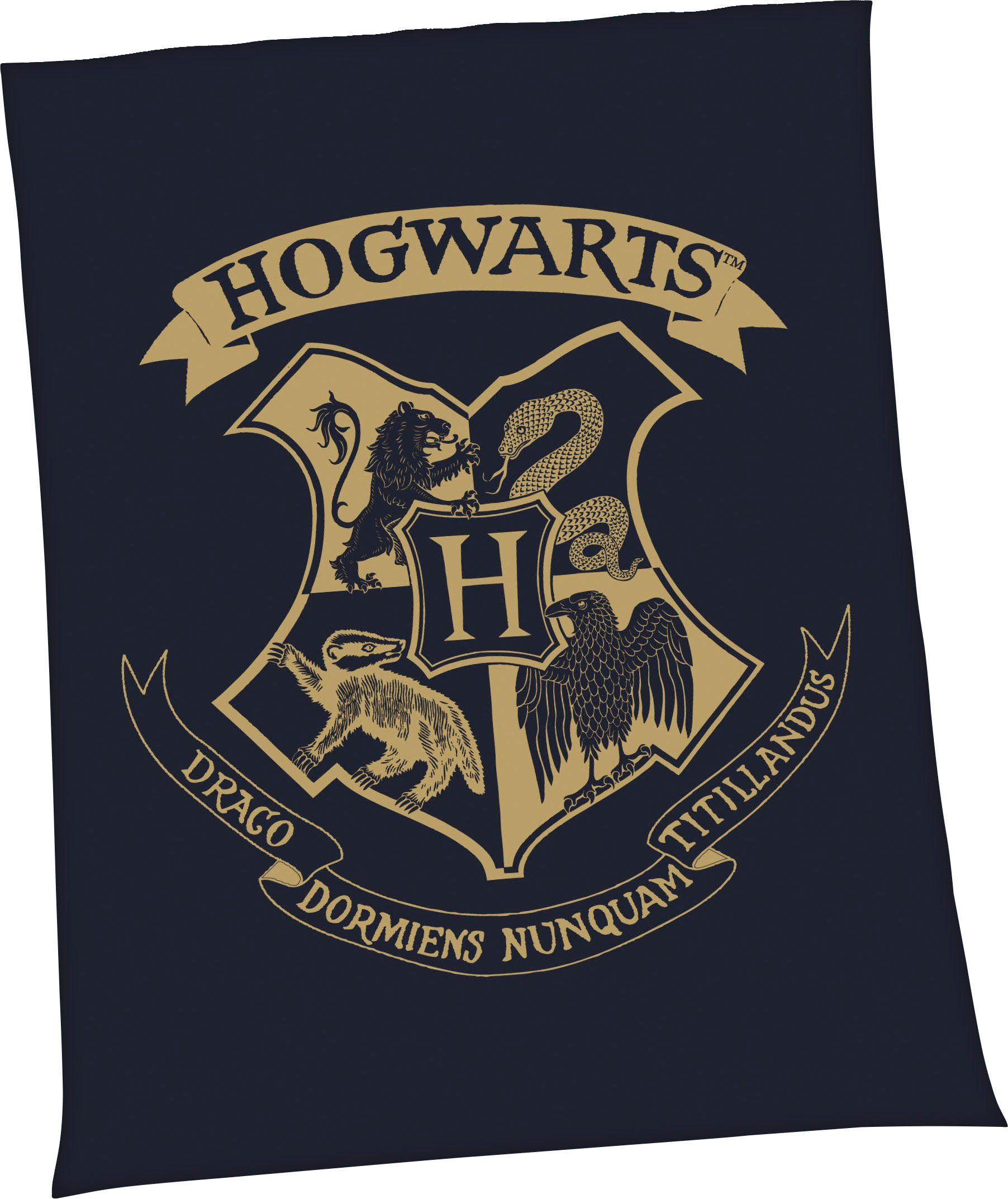 Wohndecke Harry Potter, Harry Potter, mit