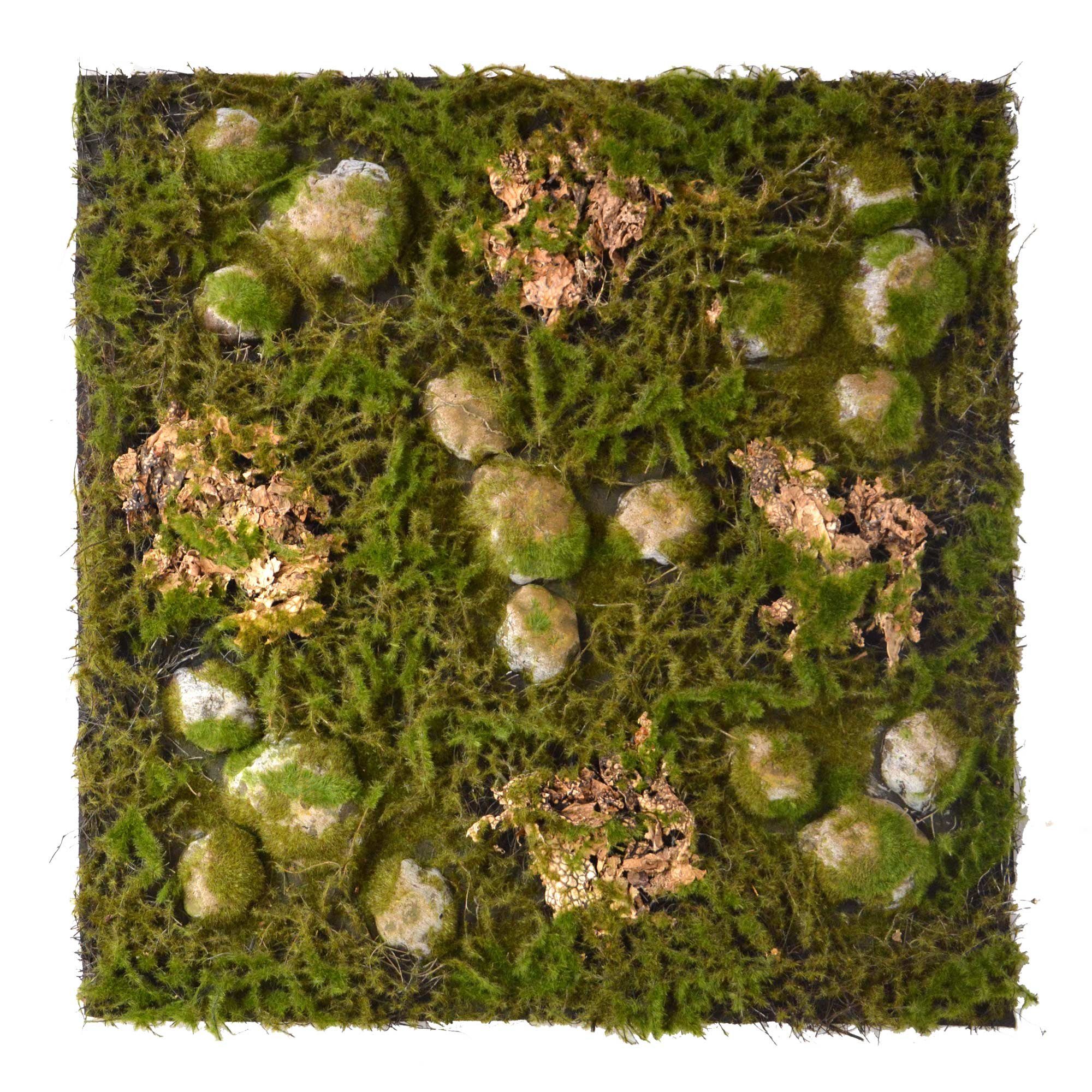 Repiterra Terrarium Terrarium Rückwände für 60x60cm