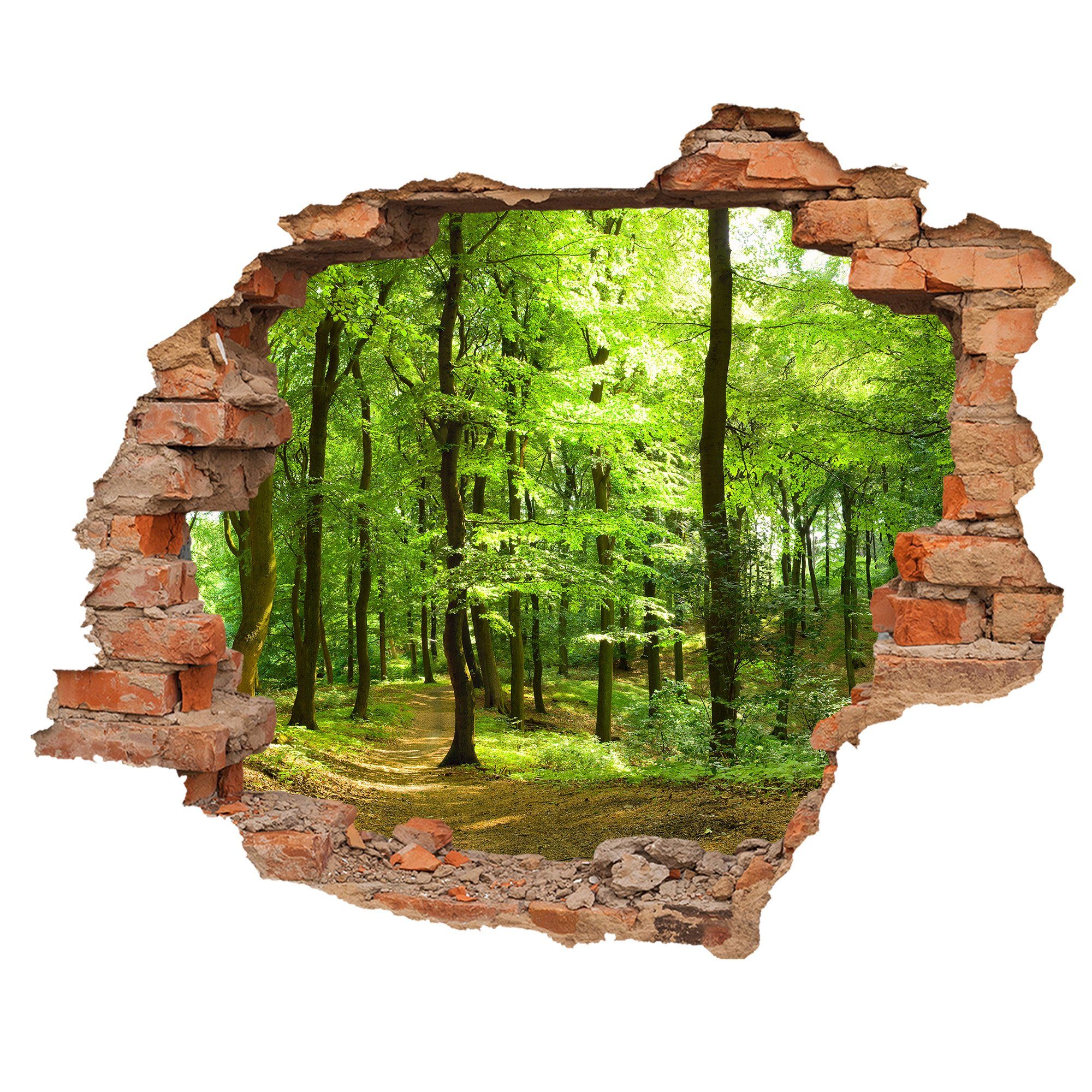 WallSpirit Wandtattoo Wanddurchbruch 'Wald', Selbstklebend, rückstandslos