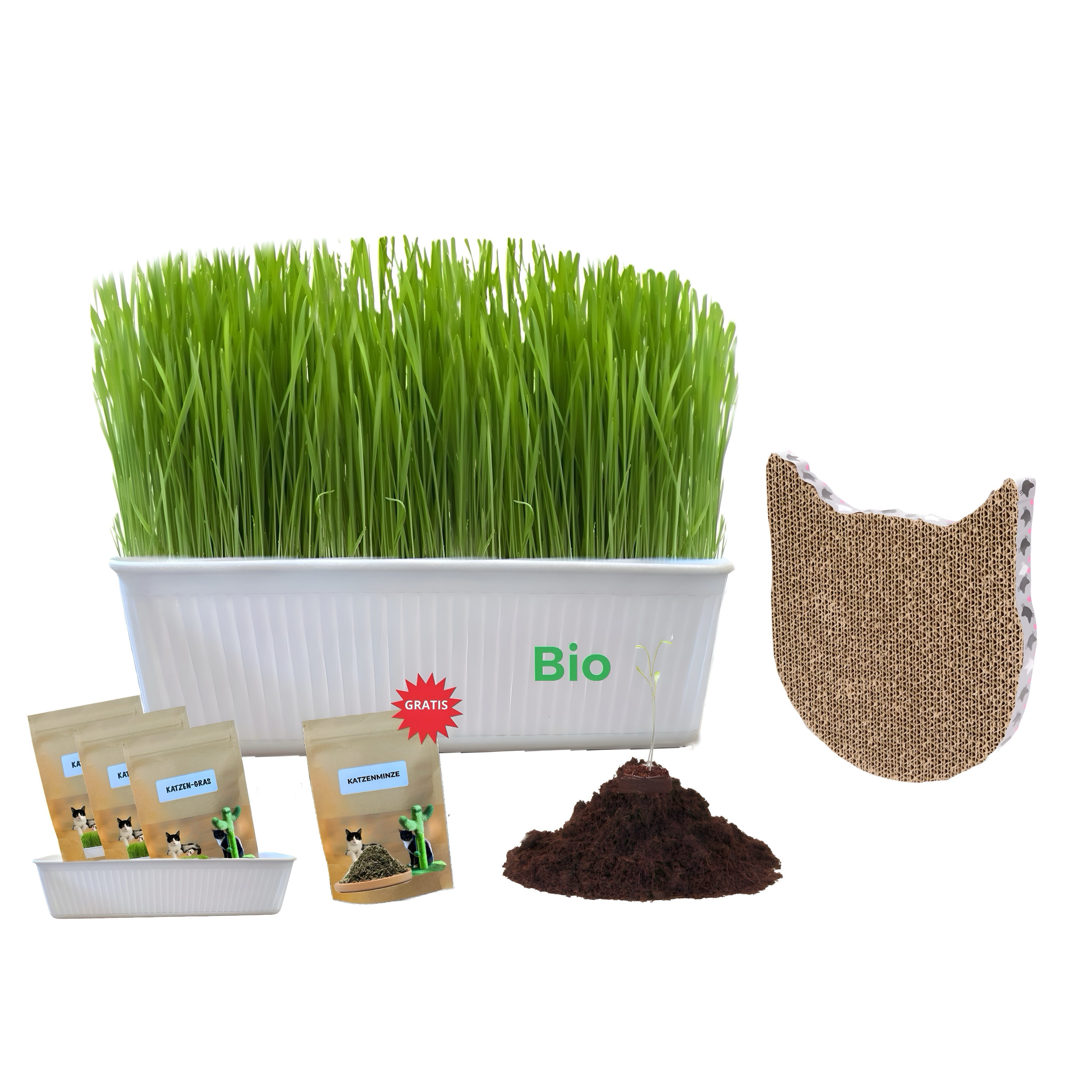 CULTZEN Napf-Set Schale, Bio-Katzengras-Samen, Katzenminze, Erde,