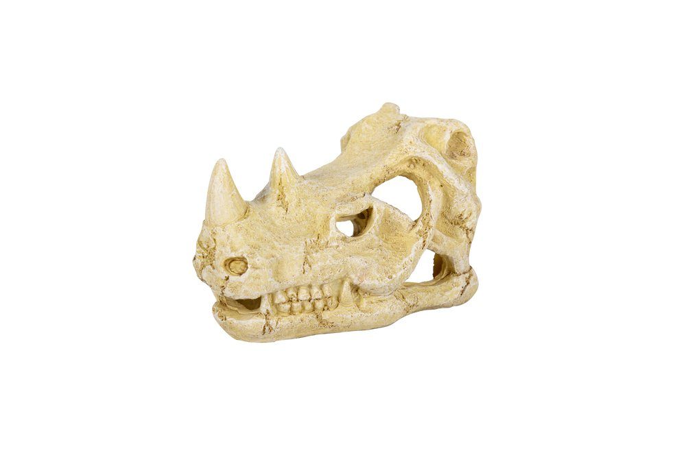 M&S Reptilien Terrarium ReptiZoo Nashornschädel (Rhino