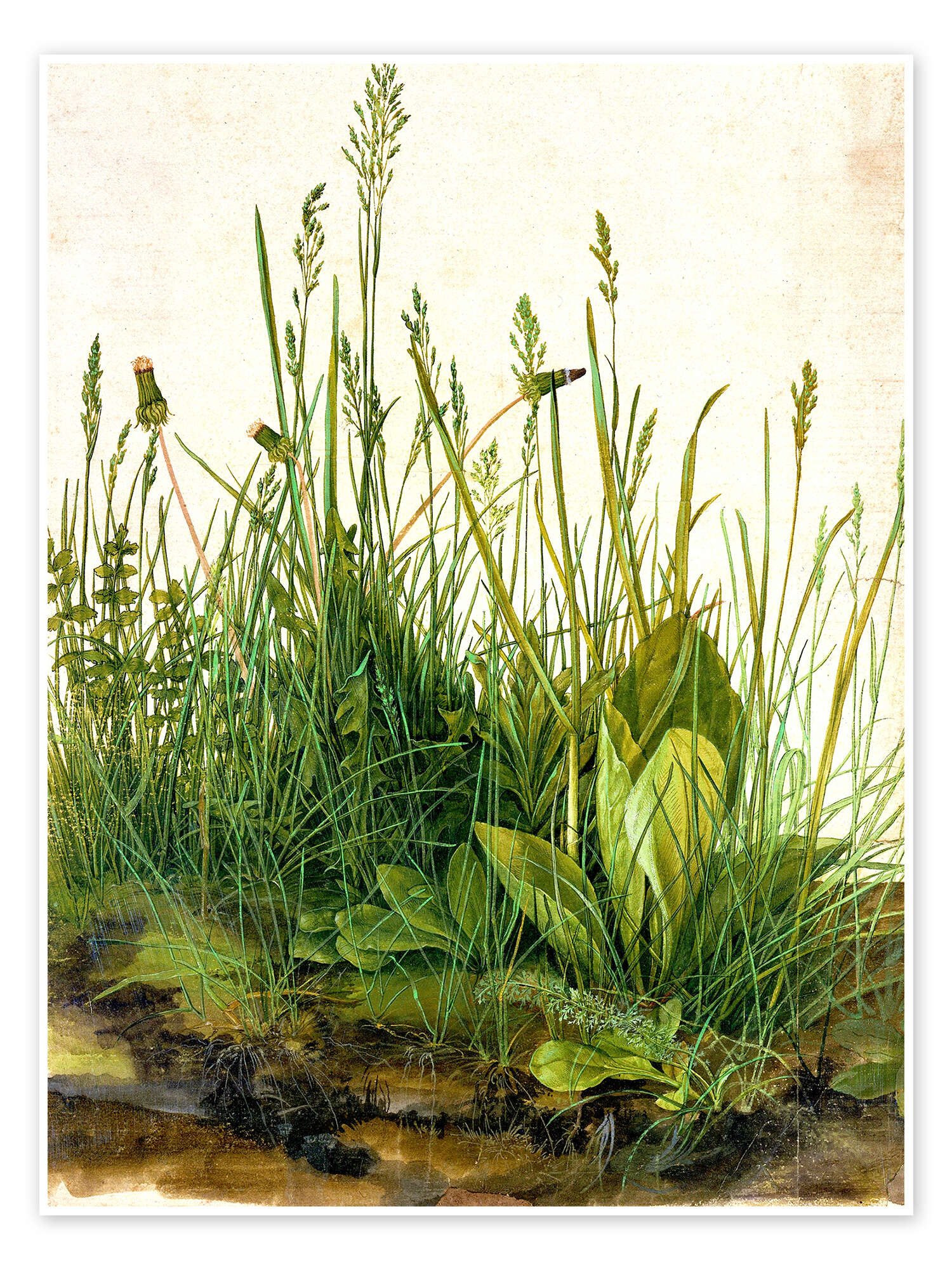 Posterlounge Poster Albrecht Dürer, Das große