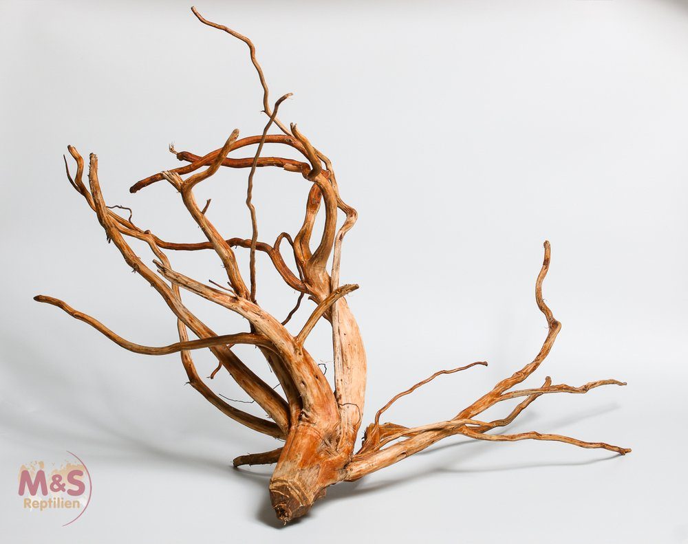 M&S Reptilien Terrarium ''Lagune''Driftwood (Treibholz) ''Hibiscus