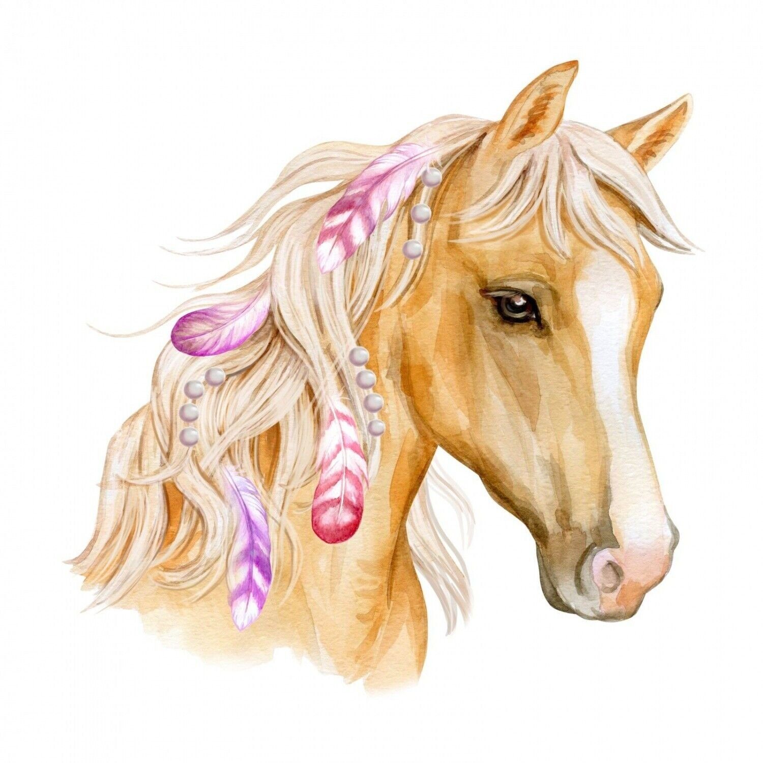 nikima Wandtattoo 236 Wandtattoo Pferd Kopf