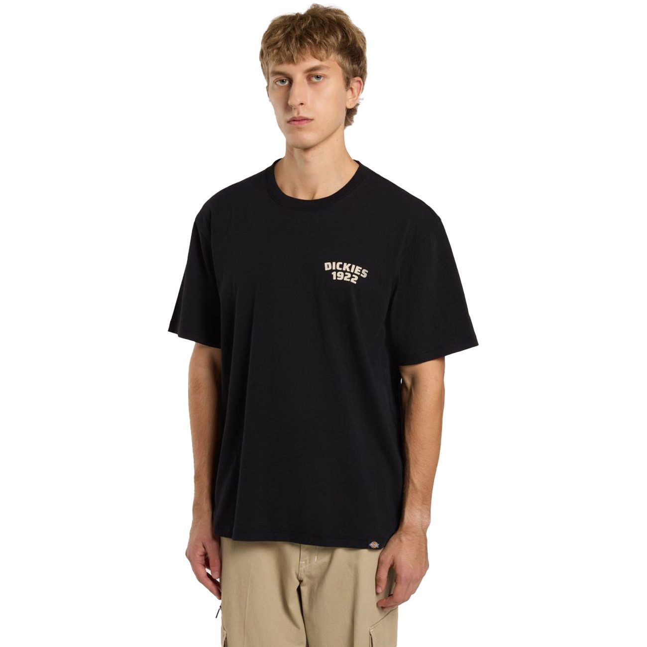 Dickies T-Shirt MECHANIC TEE MECHANIC TEE