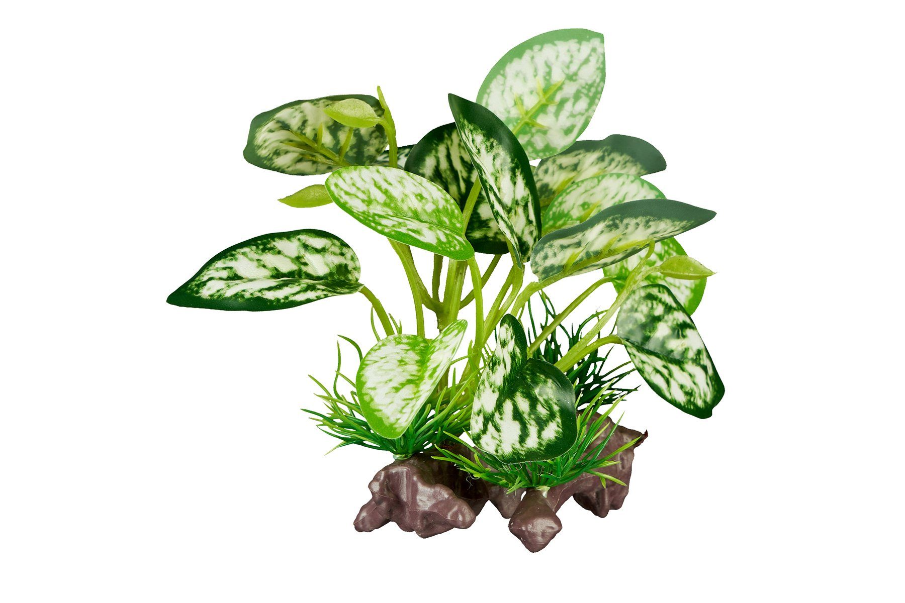 ReptiZoo Terrarium ReptiZoo Kunststoffpflanze 'White scindapsus