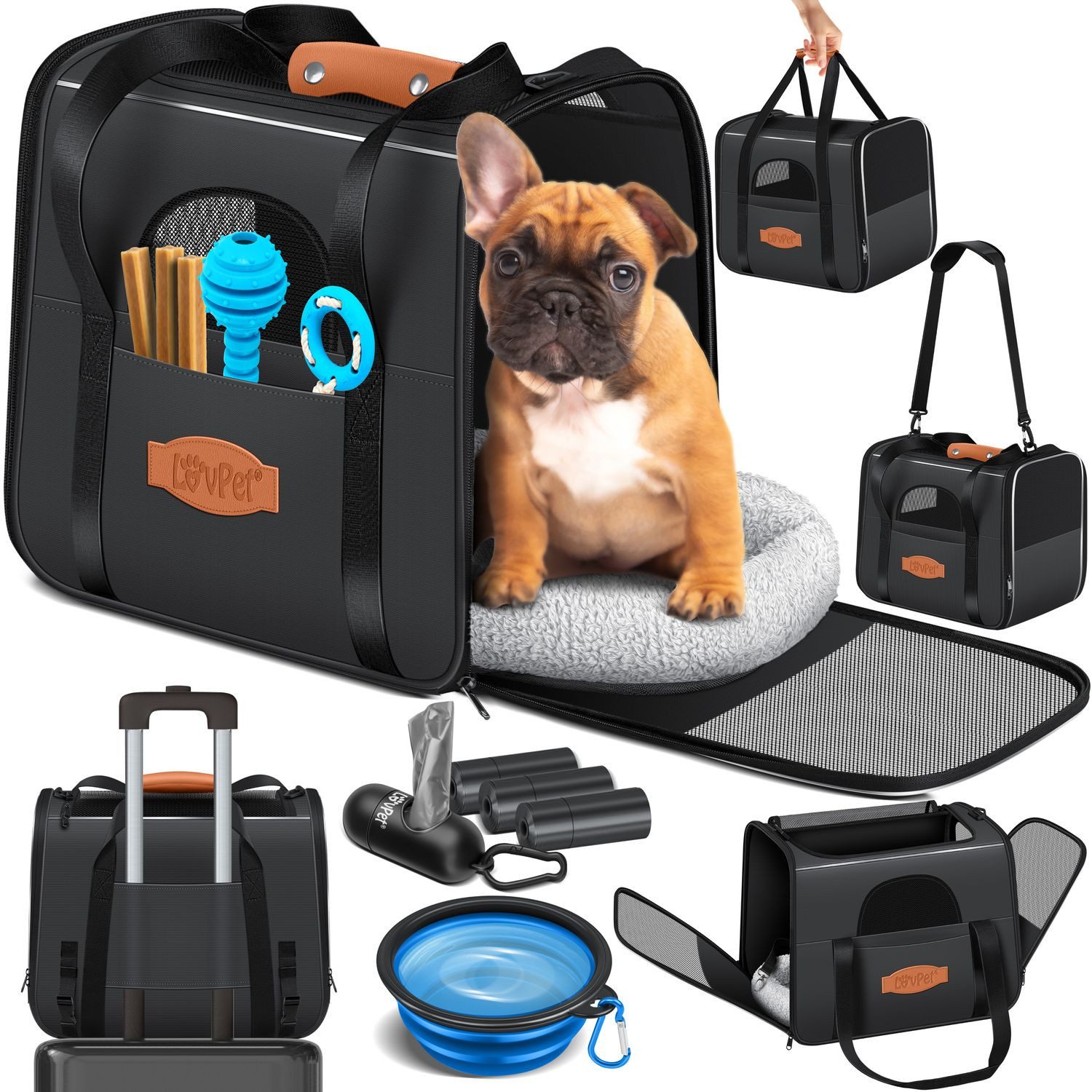 Lovpet Tiertransportbox, Hundebox Hundetasche Transportbox 2in1