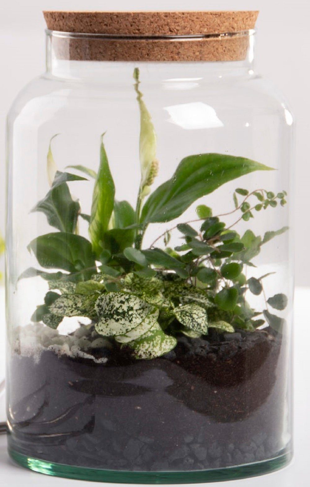 esschert design Übertopf Halboffene Terrarium Flasche