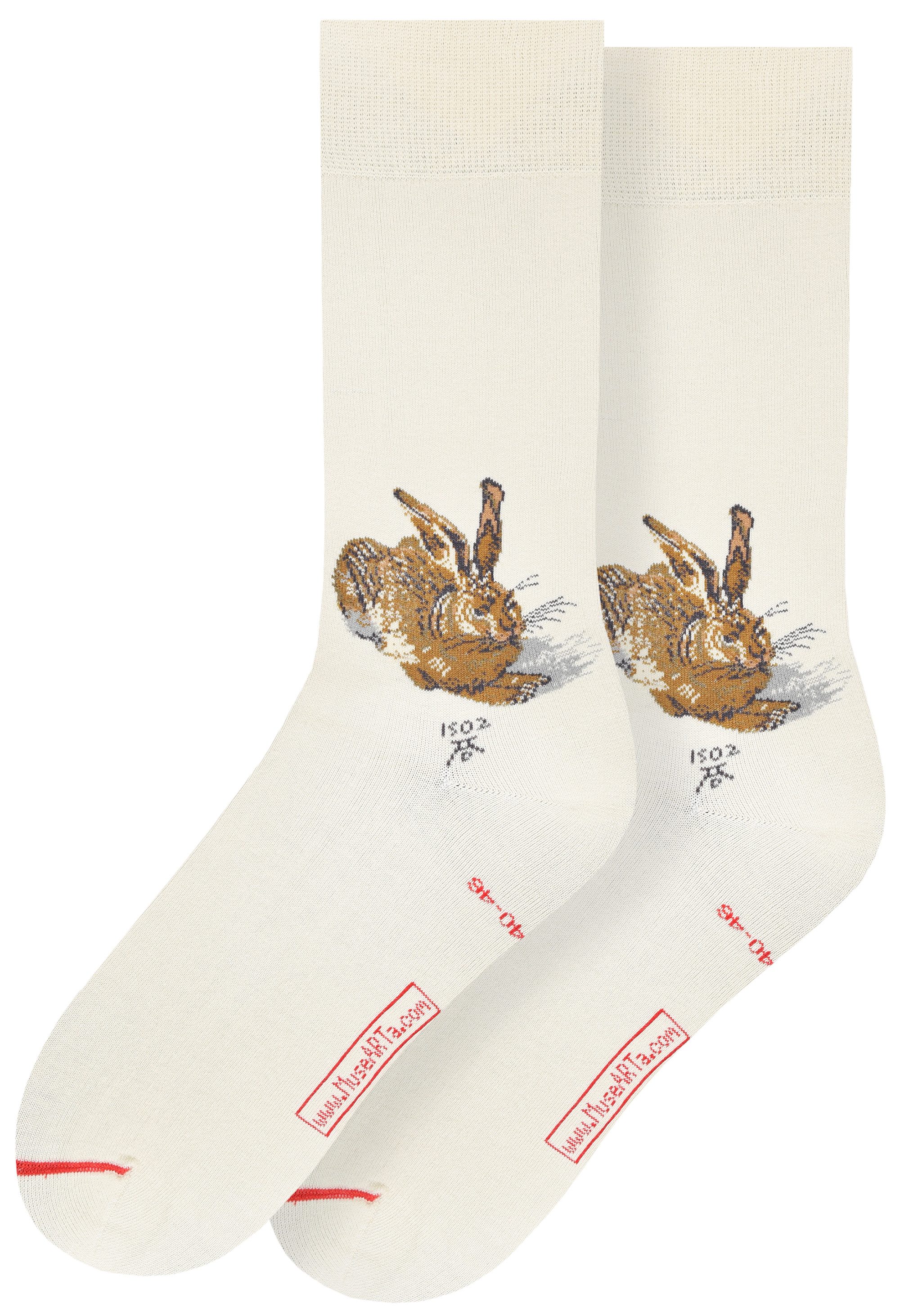MuseARTa Langsocken Albrecht Dürer - Feldhase