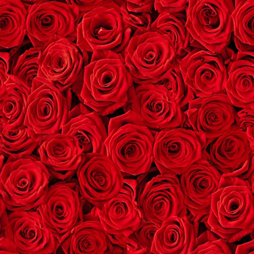 Linoows Papierserviette 20 Servietten, Rosen in