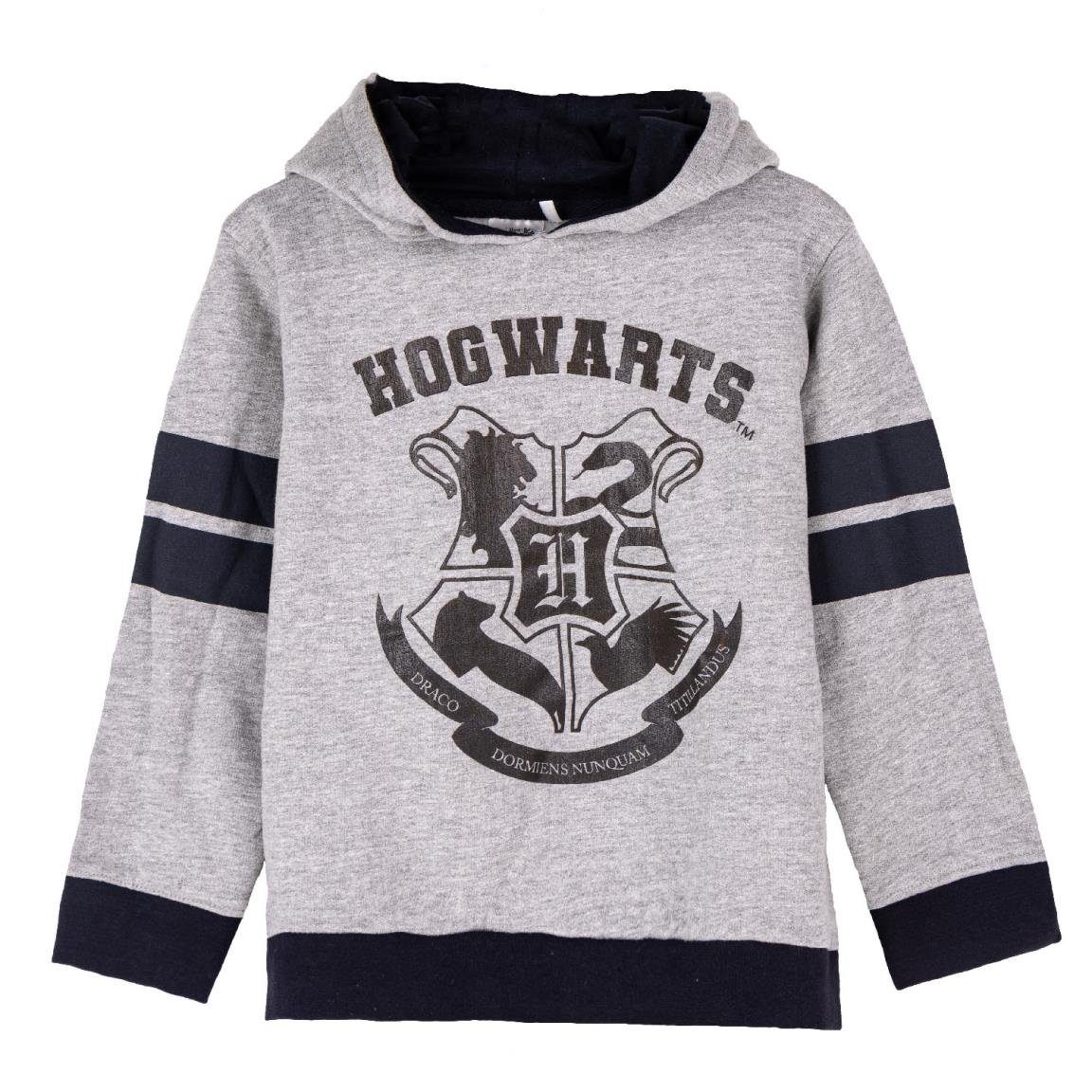 Harry Potter Langarmshirt Harry Potter Kapuzenpullover
