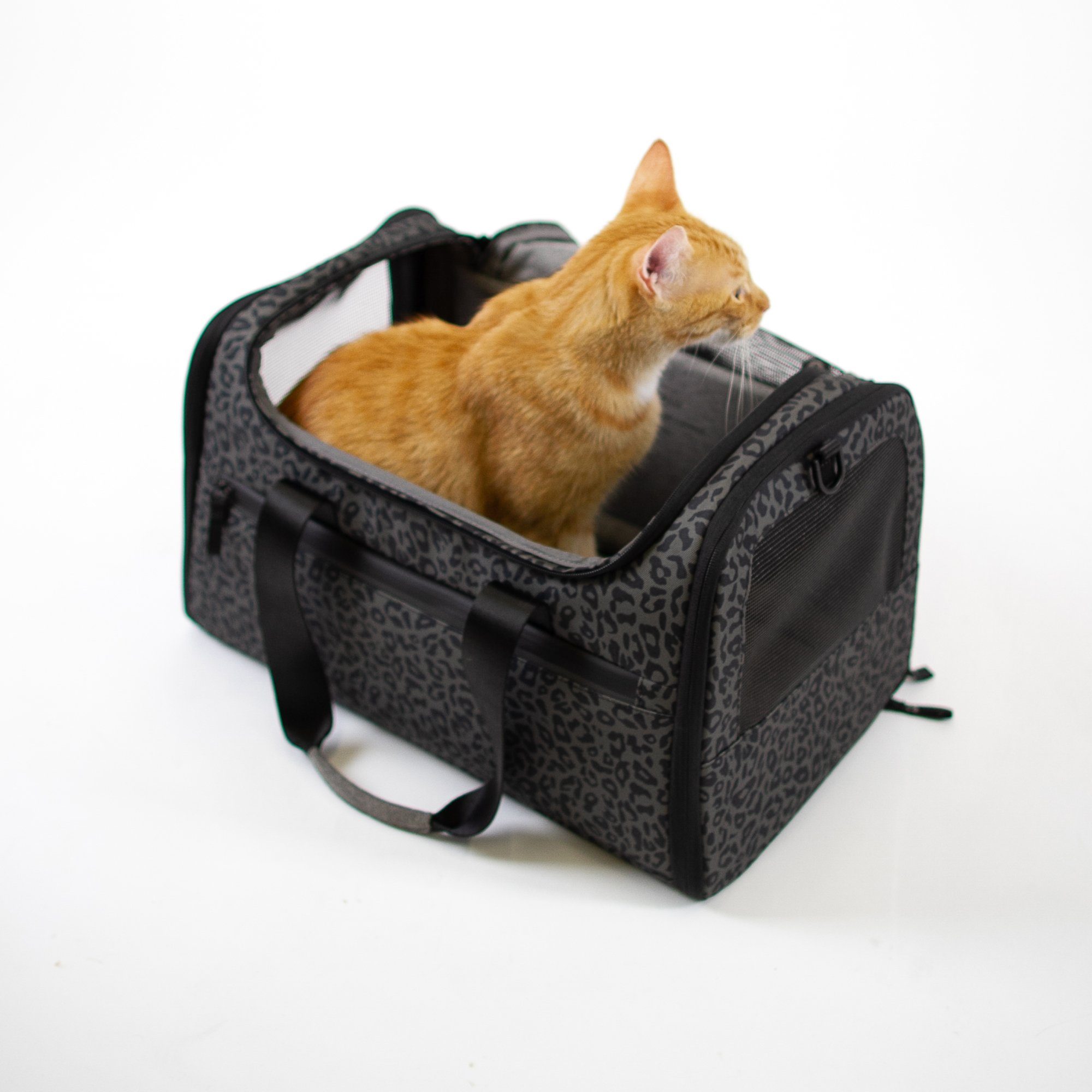 LucyBalu Tiertransporttasche Designer Katzentransporttasche, Tragetasche für