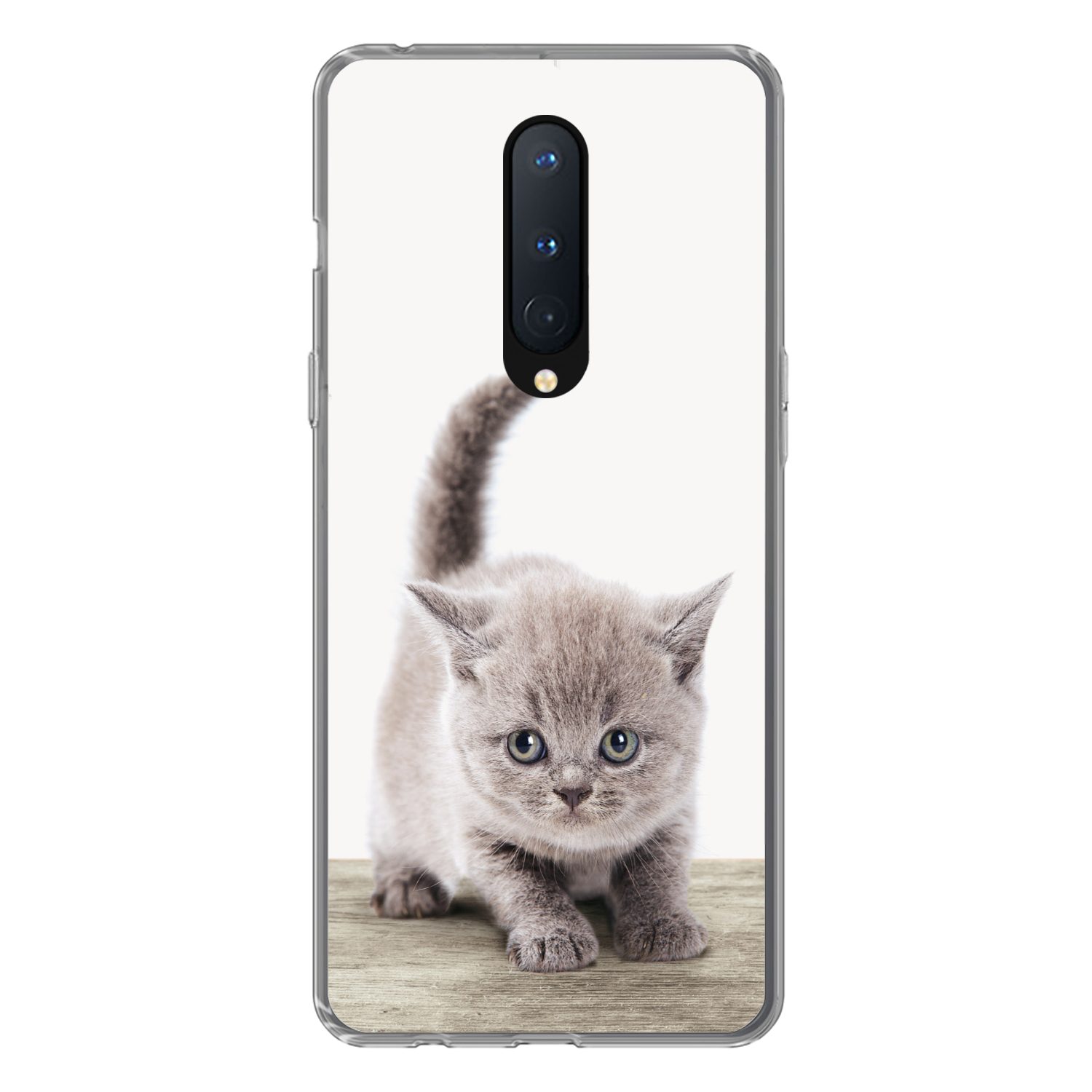 MuchoWow Handyhülle für OnePlus 8 Kätzchen