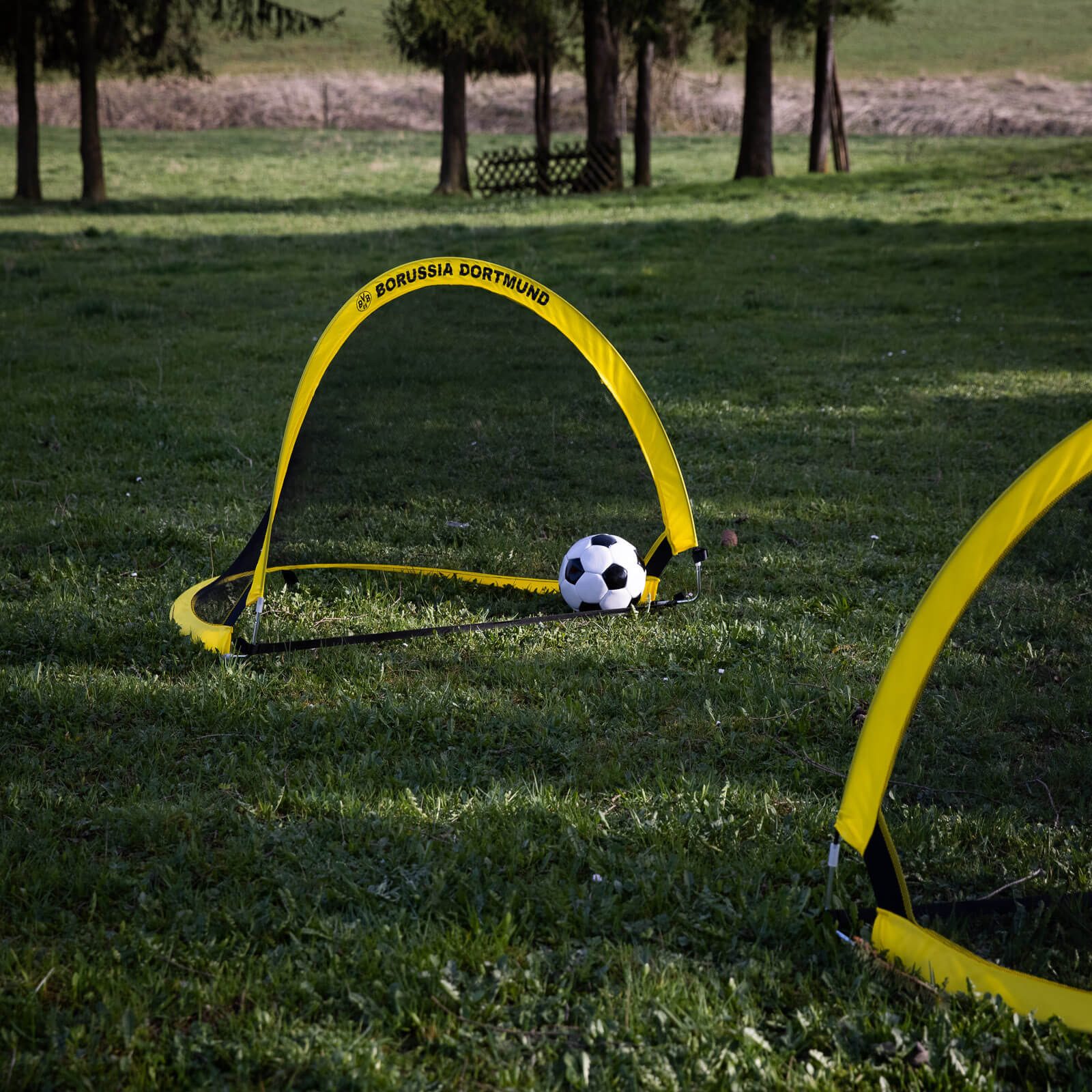 BVB MERCHANDISING Fußballtor BVB-Minifussballtor Pop-up