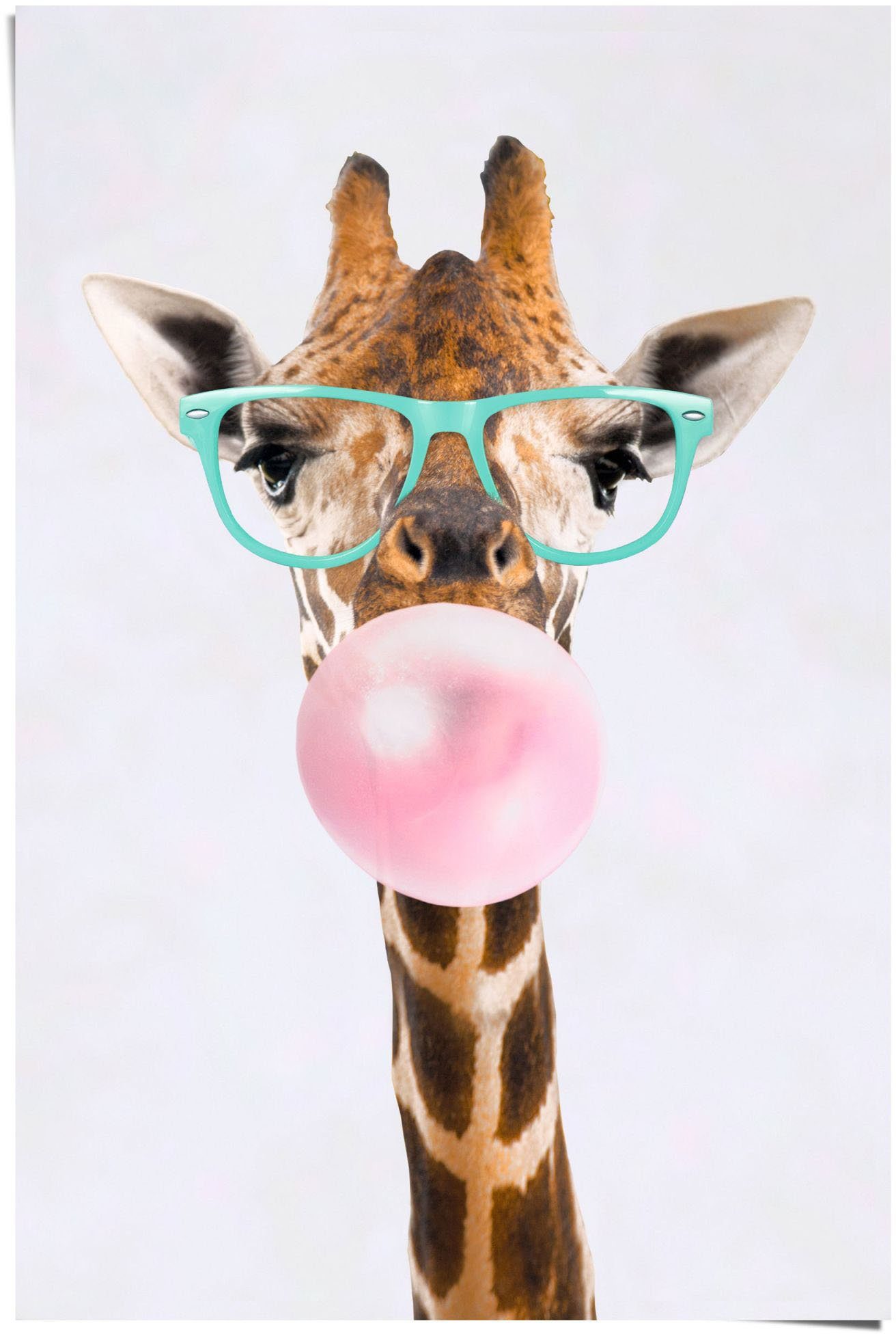 Reinders! Poster Poster Funky Giraffe, Giraffen