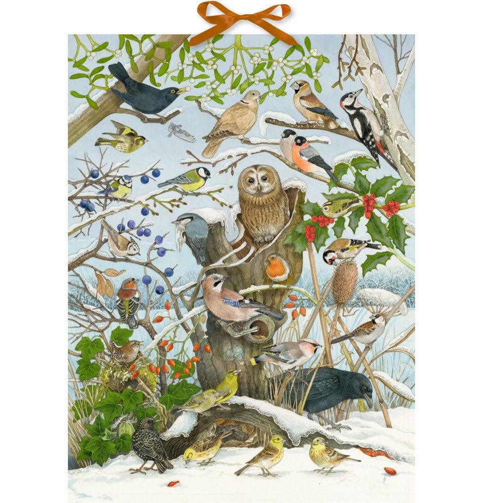 COPPENRATH DIE SPIEGELBURG Adventskalender Sound-Adventskalender