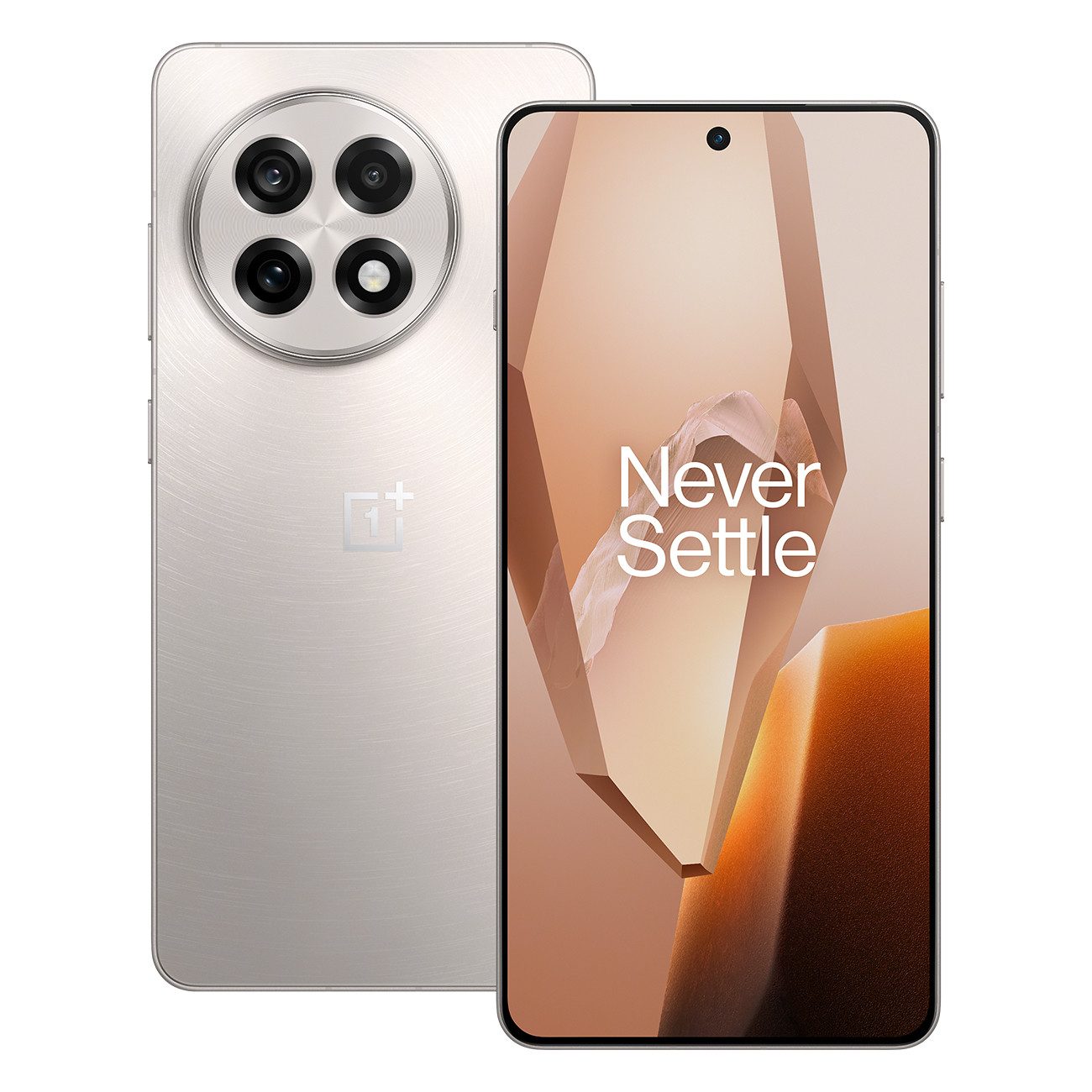 OnePlus 13R Europe Smartphone