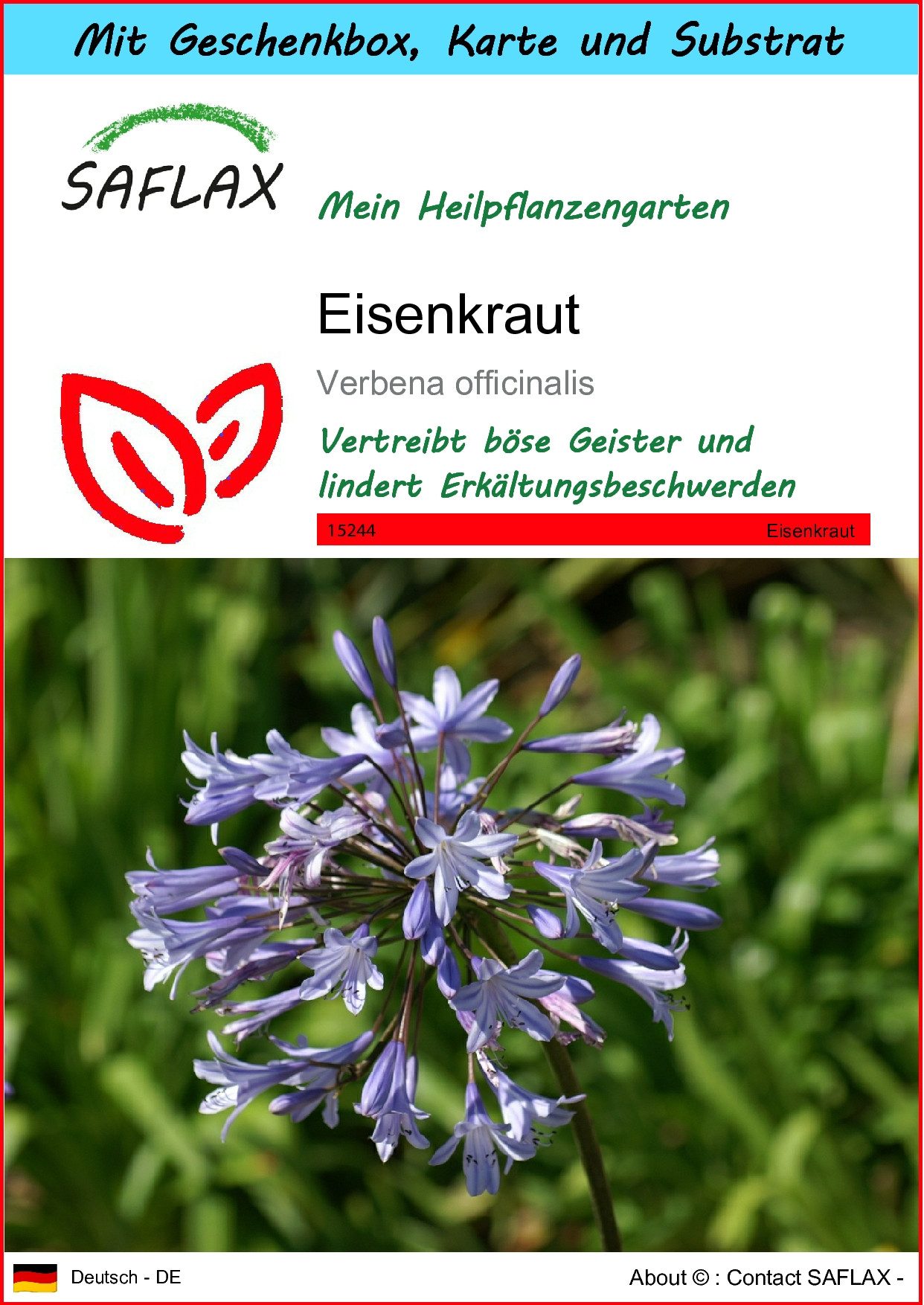 SAFLAX Blumensamen SAFLAX - Geschenkset -