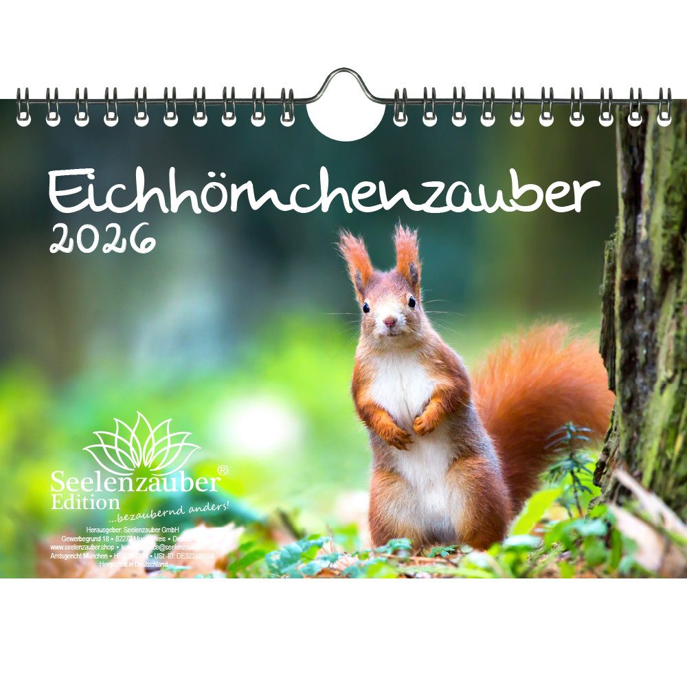 Seelenzauber Wandkalender Eichhörnchenzauber DIN A5 Kalender