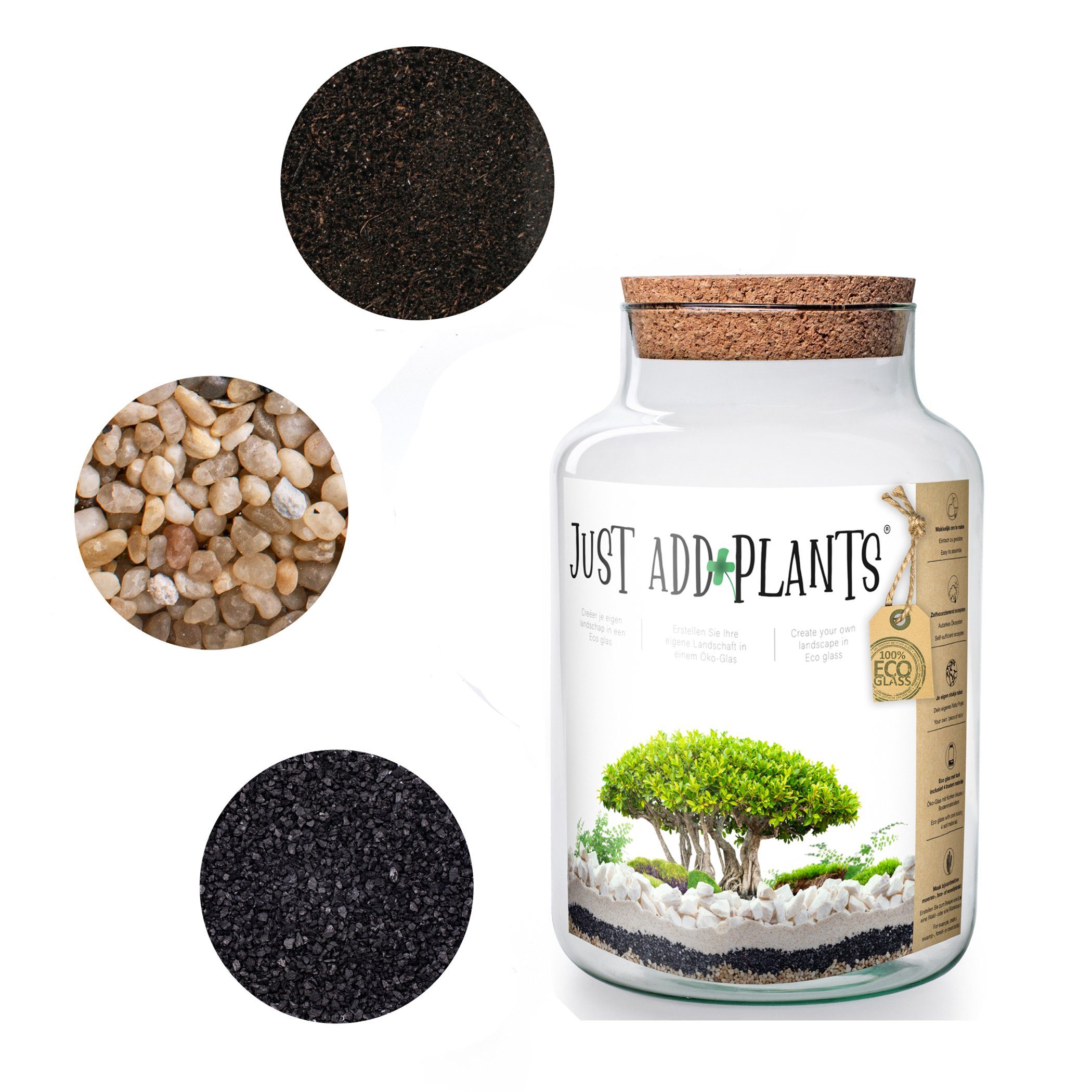 Annastore Tischvase XXL Pflanzenterrarium - Terrarium