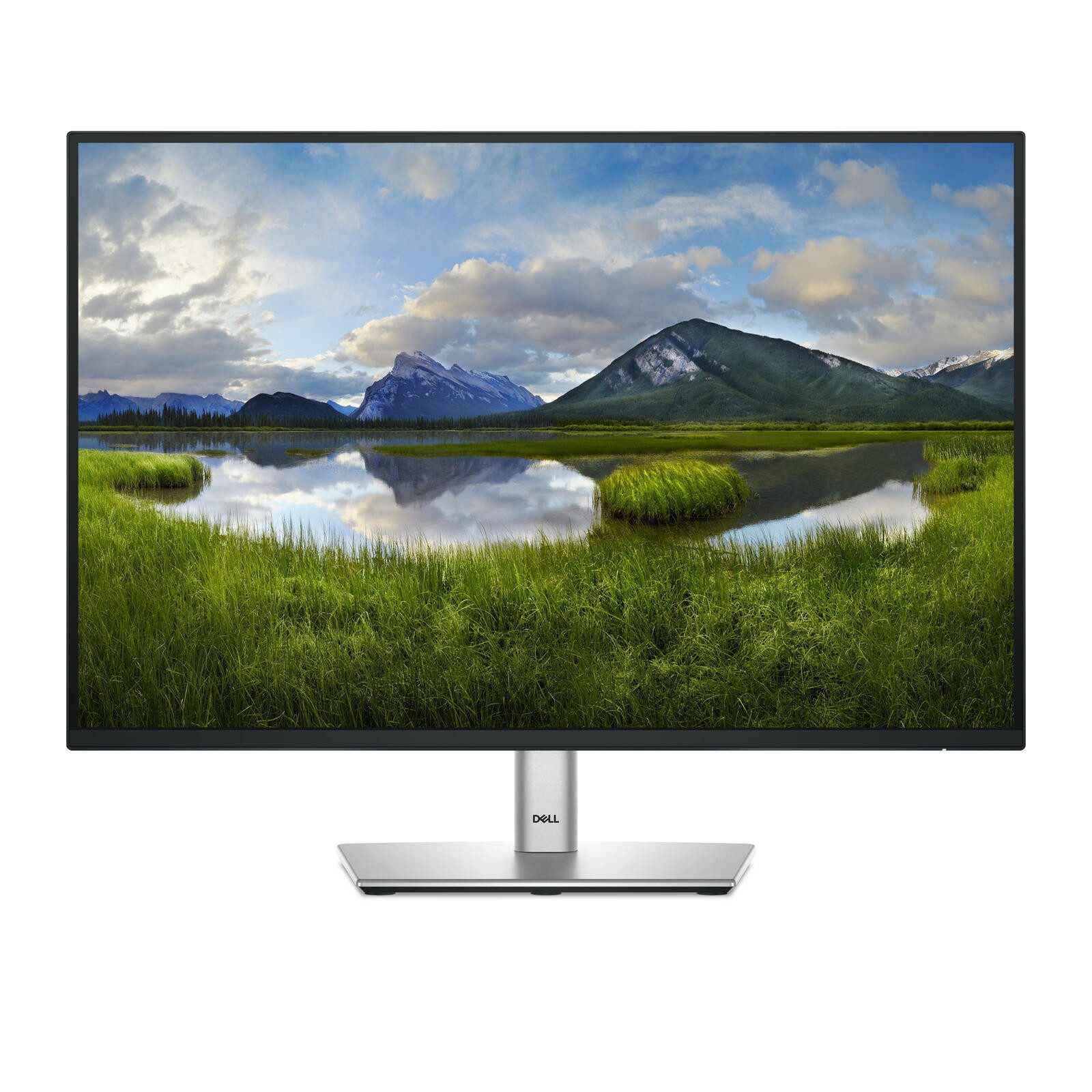 Dell Dell P2425E TFT-Monitor (1920 x