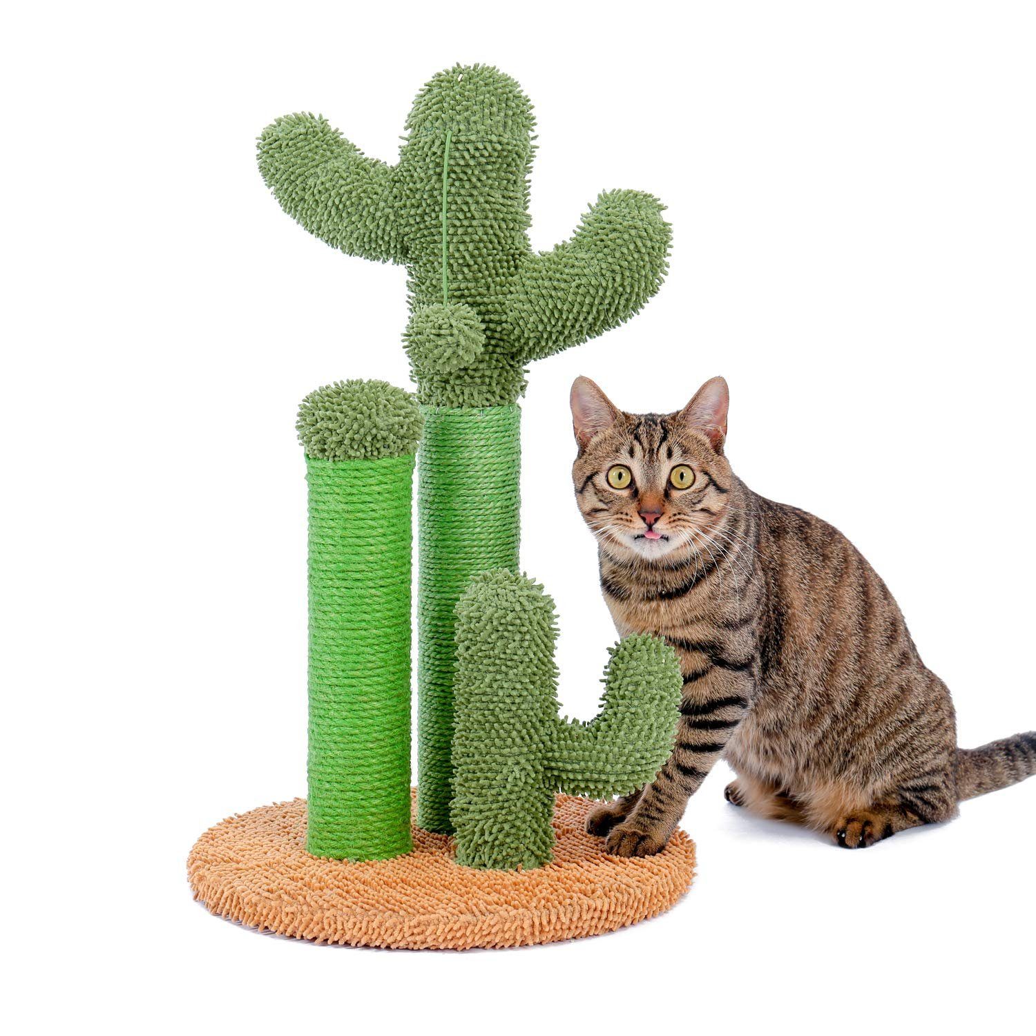 Purpurra Kratzbaum Kaktus Kratzbaum Kratzstamm, 53/69