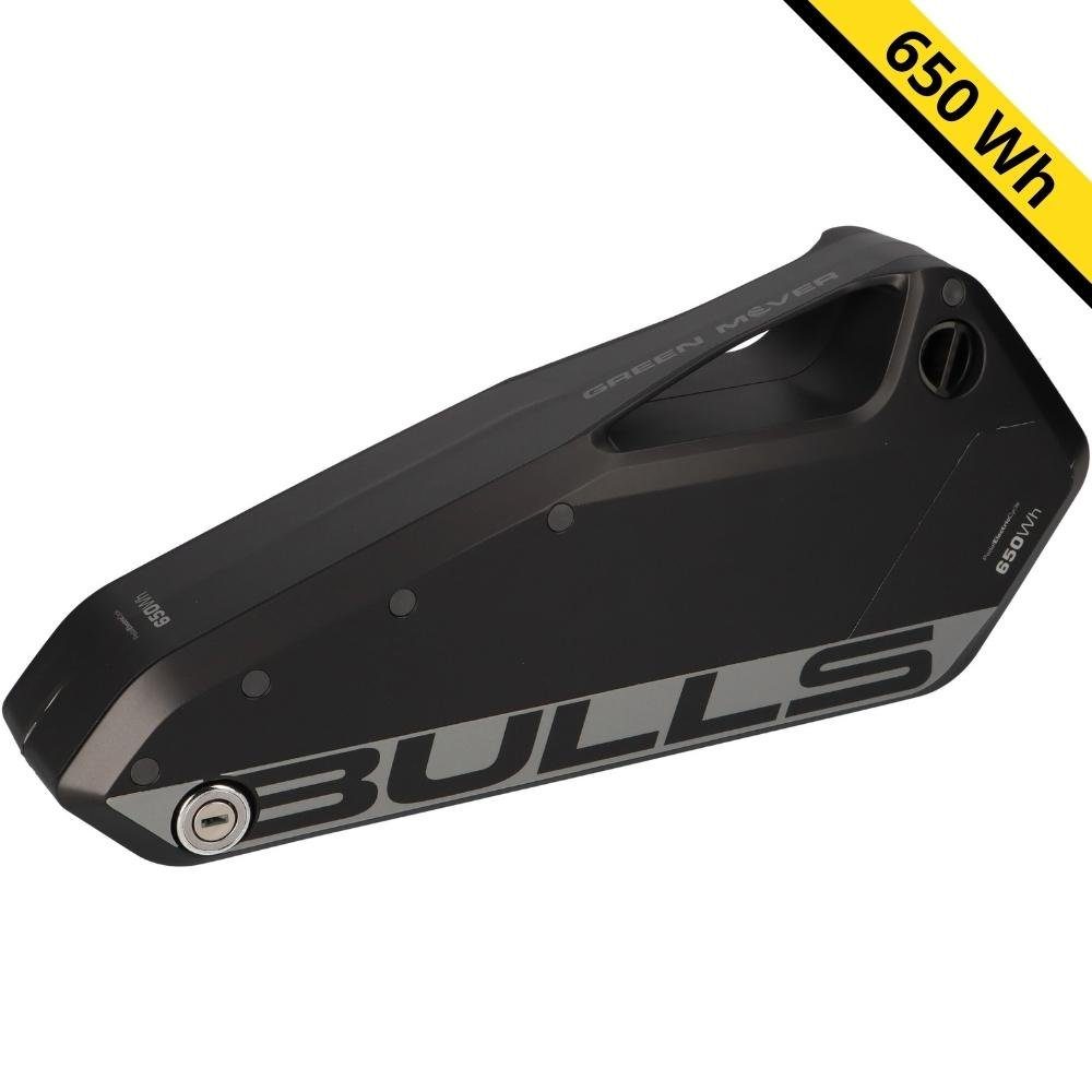 BMZ Bulls Green Mover Lavida E-Bike