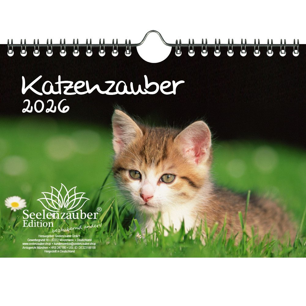 Seelenzauber Wandkalender Katzenzauber DIN A5 Kalender