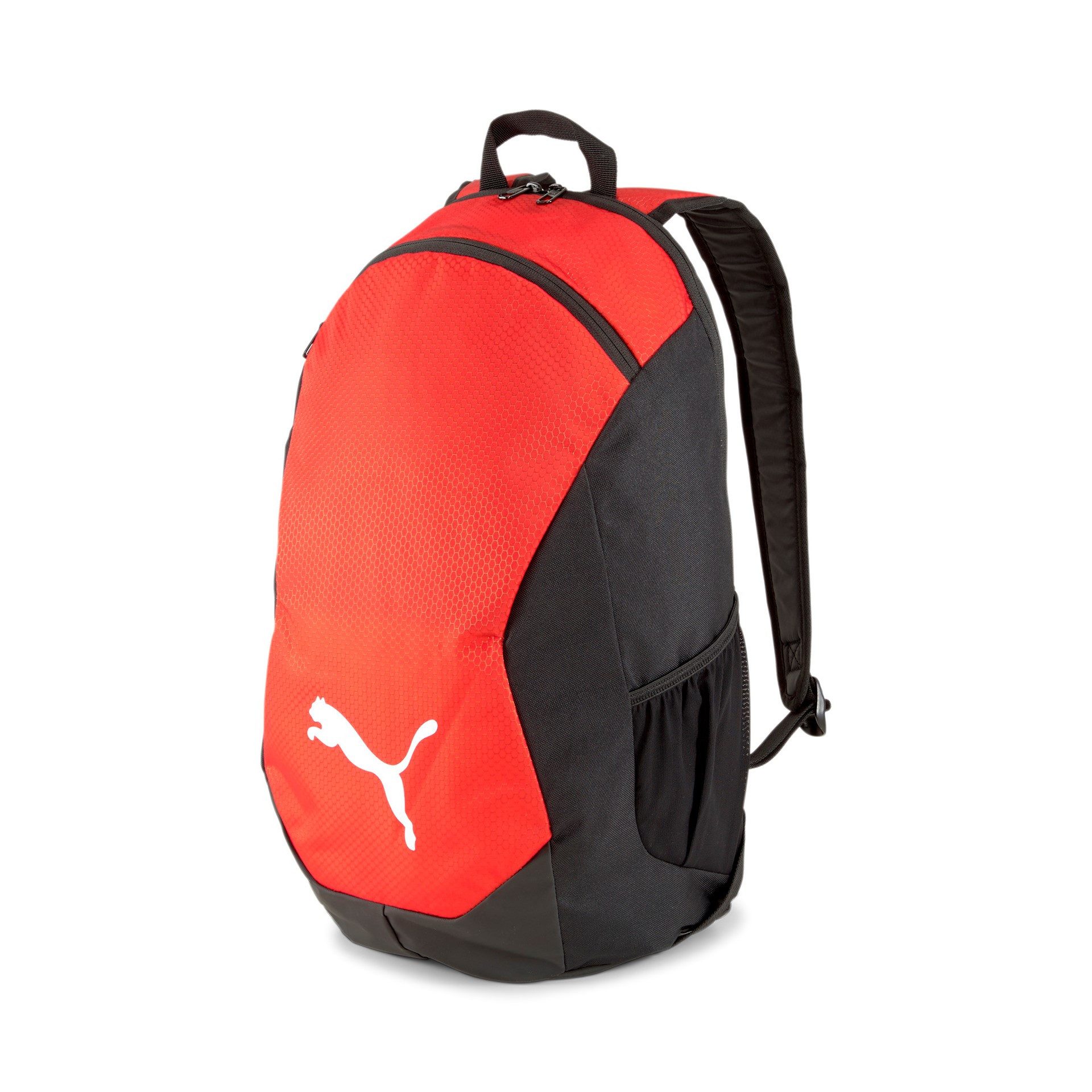 PUMA Rucksack Rucksack teamFINAL 21 Backpack