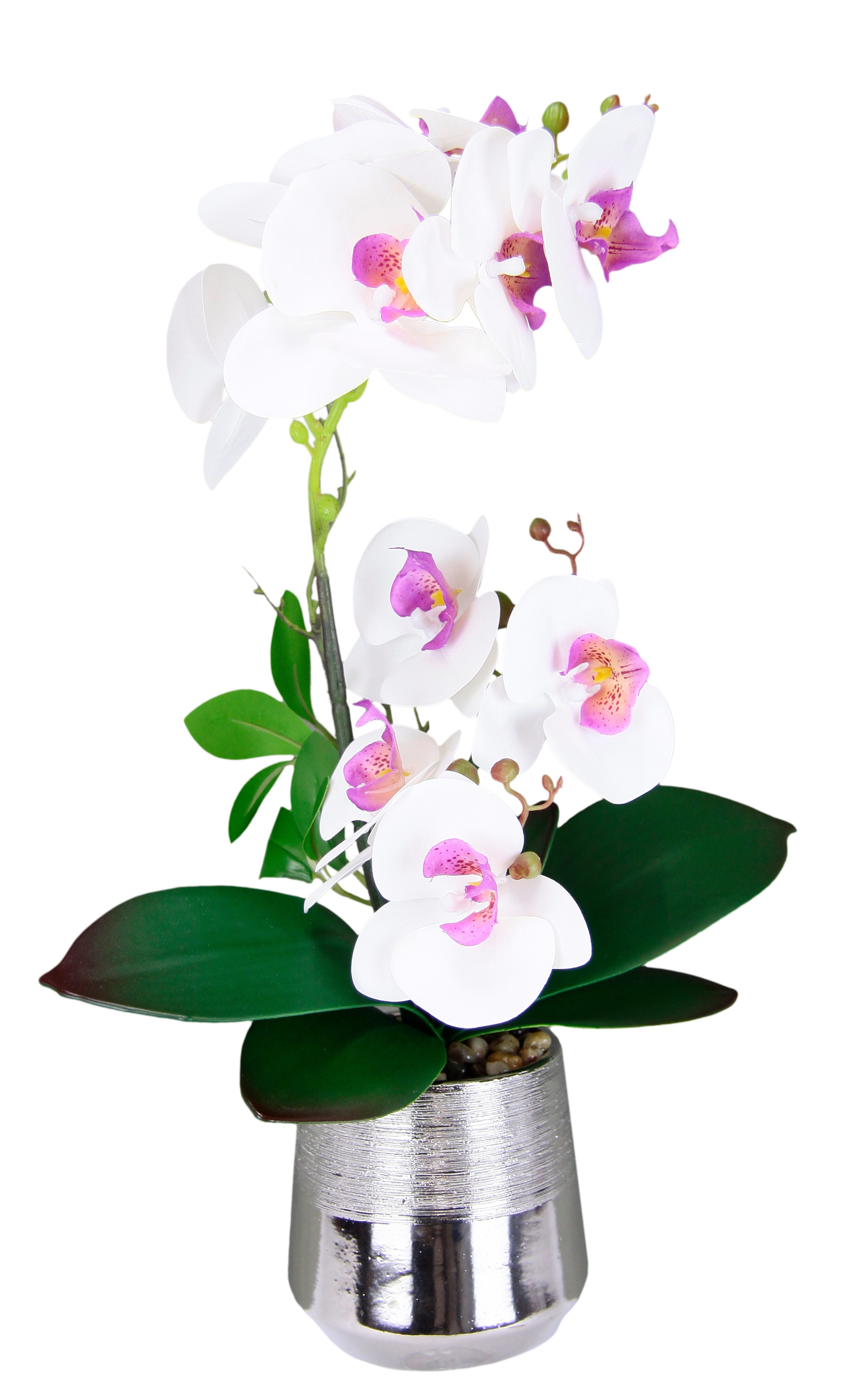 Kunstorchidee Phalaenopsis Orchidee im Topf, I.GE.A.,