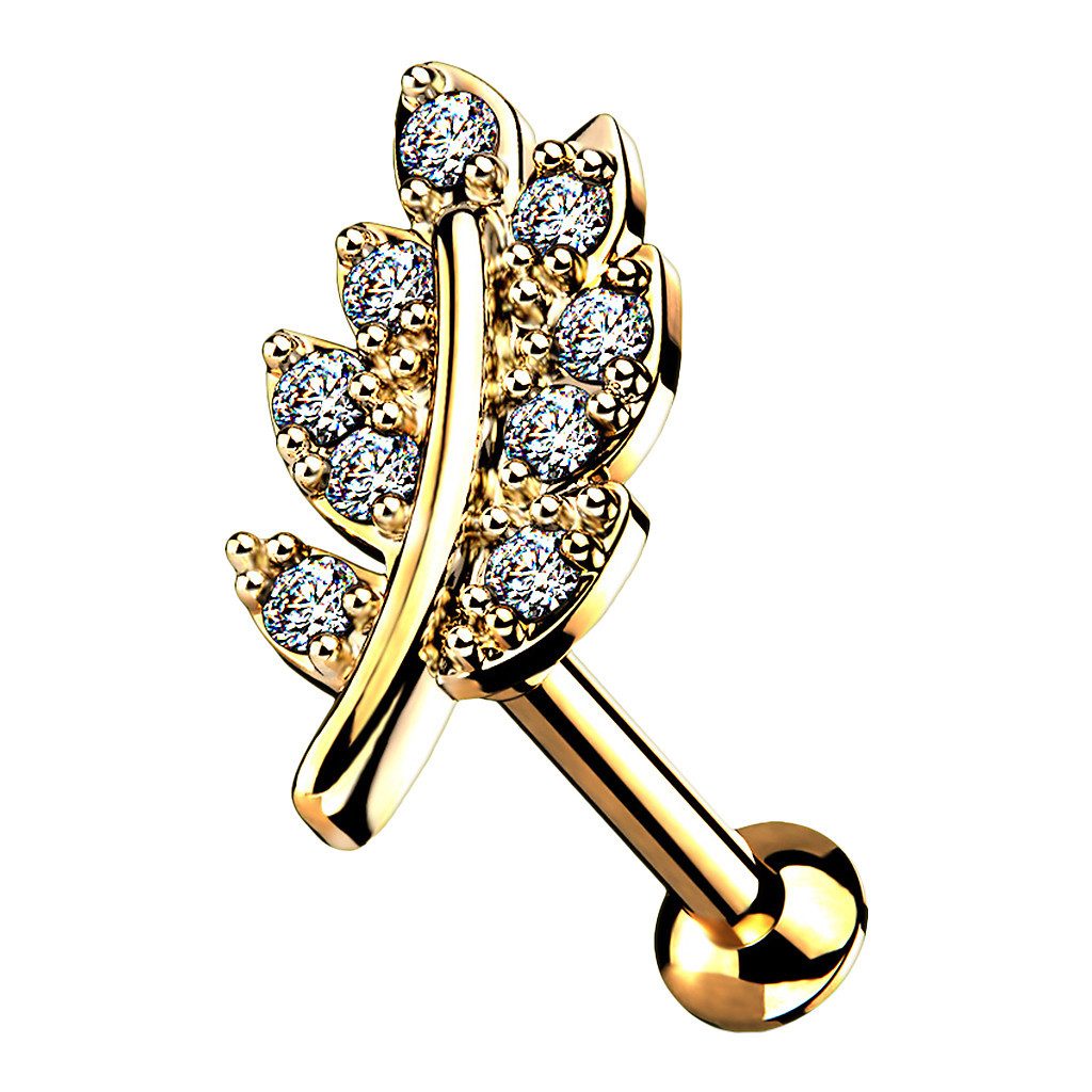 Taffstyle Piercing-Set Tragus Labret Piercing Stecker