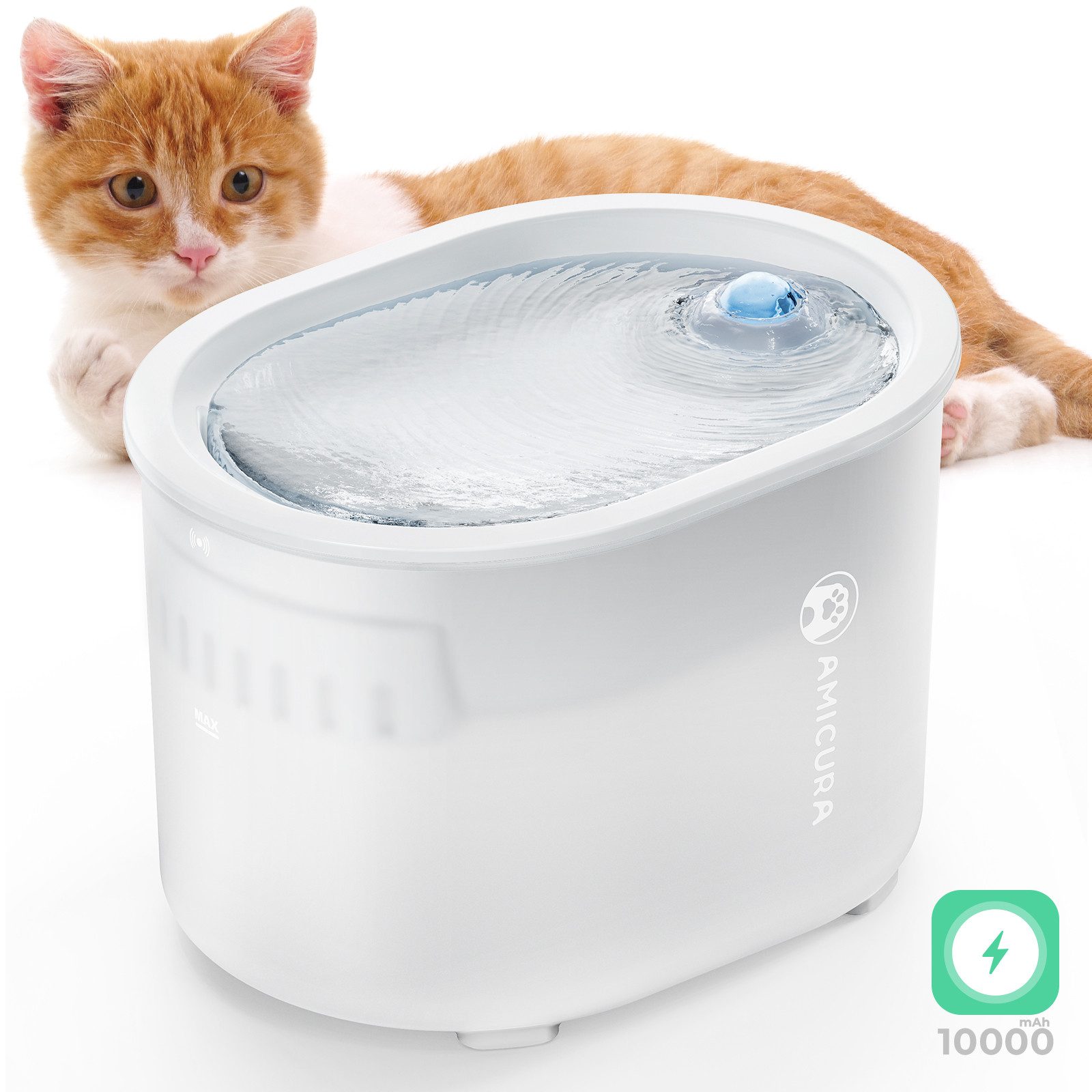 AmiCura Napf trinkbrunnen für katze, A3
