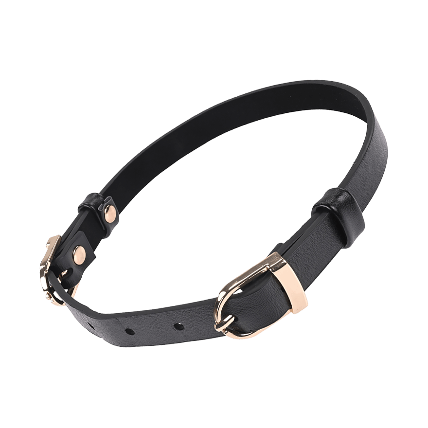 Sex and Mischief - Double Buckle Day Collar