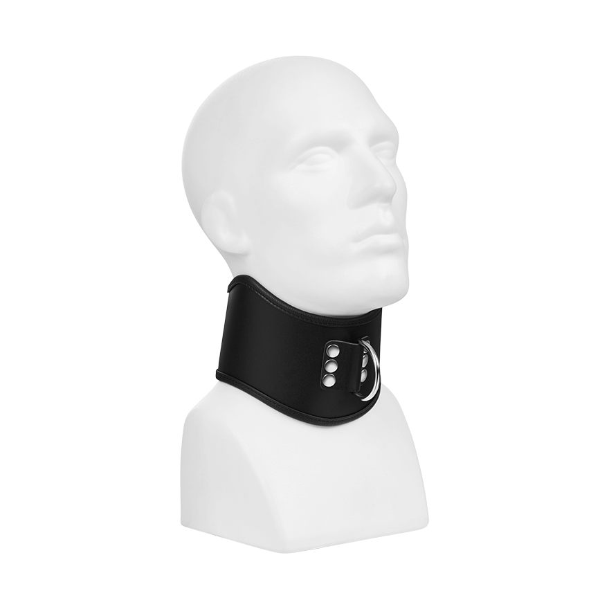 Gepolstertes Halsband mit D-Ring