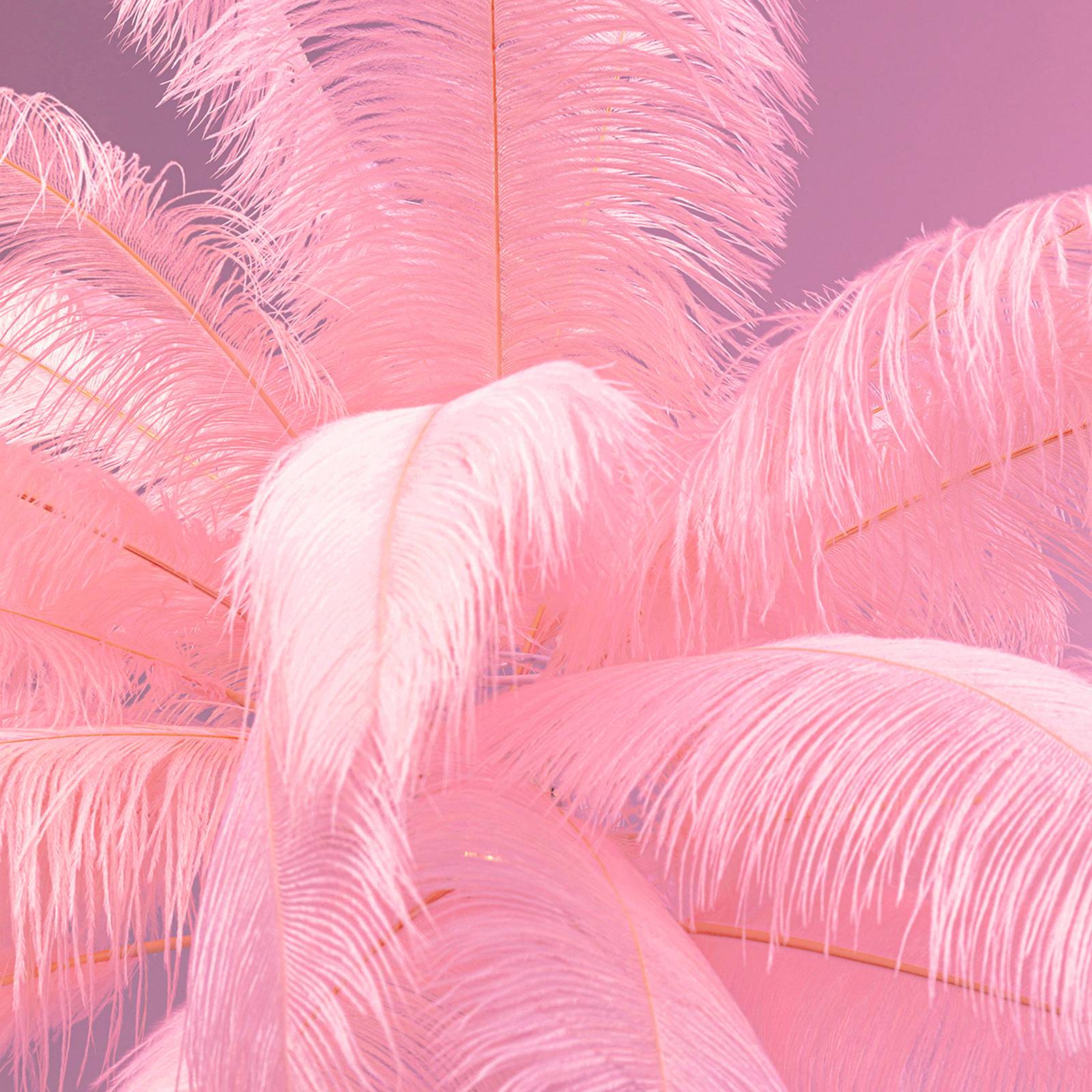 KARE Feather Palm Stehleuchte mit Federn, pink
