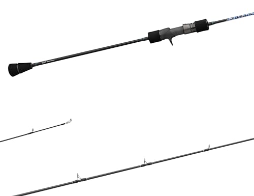 Daiwa SALTIGA Slow Pitch Serie - Konventionell