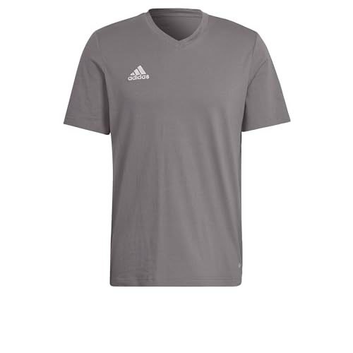 adidas Herren Entrada 22 Tee, Team Grey Four, XXL