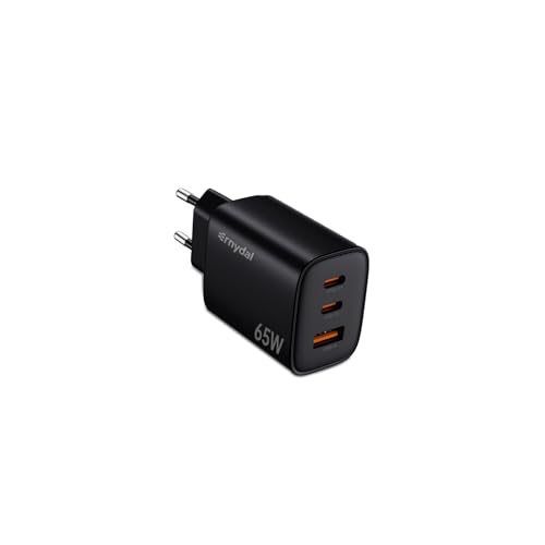 Ernydal 65W USB-C Ladegerät, 3-Port Schnellladegerät, PPS GaN Wall Charger Kompaktes PD Netzteil für MacBook Pro, iPad Pro, Steam Deck, Galaxy S20, Dell XPS 13, Note 20/10+, 15, Pixel (Schwarz 65w)