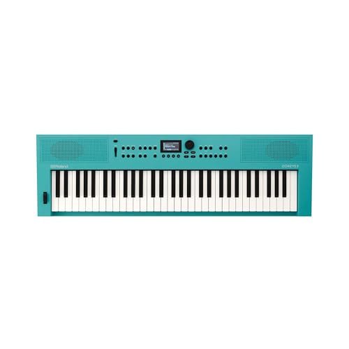 Roland keyboard