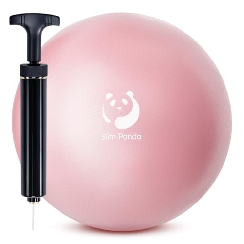 Slim Panda Gymnastikball Klein,23-25cm Pilates Ball mit Pumpe,Soft Yoga Ball fürHause,Fitness,Balance Training(Auslaufsichere Aufblasdüse) 