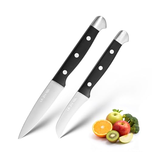 LIN ZHI REN Küchenmesserset, hochwertige Mehrzweckmesser aus Edelstahl, ergonomische Griffe (Silber-Obstmesserset)