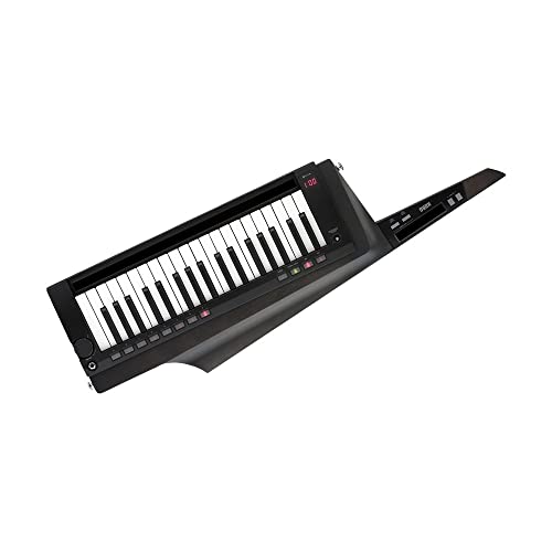 KORG RK-100S 2 BK 37-Tasten Synthesizer Keytar Schwarz Professionell