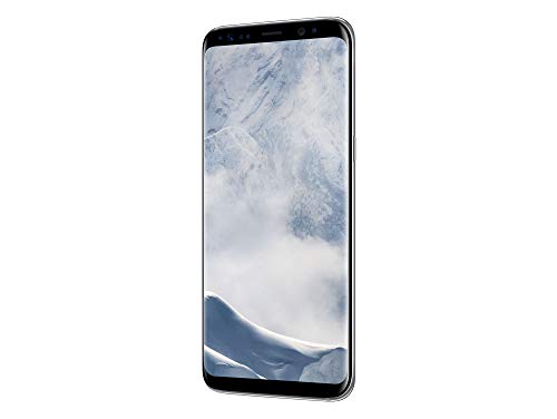 Samsung Galaxy S8 Smartphone Bundle (5,8 Zoll (14,7 cm), 64GB interner Speicher) - Deutsche Version