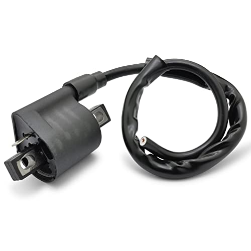 Easyboost Zündspule für 50ccm 2-Takt Roller und Schaltmoped 50ccm AM6 Nitro Aerox Malaguti F10 F12 F15 Aprilia SR Stunt Rieju MRT RS2 RS3 Sherco Yamaha DT Mach-G Rocket Bw's Piaggio NRG Zip Typhoon