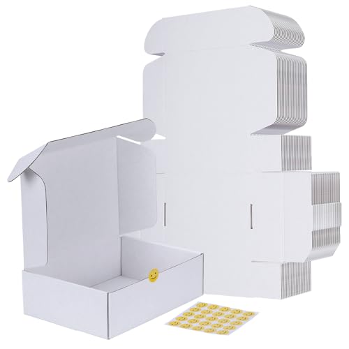 RLAVBL 25 Stück Doppelseitig Weiß Versandkartons, Maße: 25,4 x 17,8 x 7,7 cm, einfach zu montieren, Ideal für Kleine Unternehmen