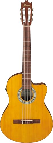 Ibanez Acoustic Gitarre / GA3ECEOAM Standard
