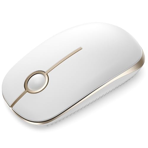 seenda Maus Kabellos, 2,4G Funkmaus mit 1600 DPI für PC/Laptop/MacBook/Linux, 3 Leise Tasten, Für Links- und Rechtshänder, 18 Monate Akkulaufzeit (Weiß und Gold)